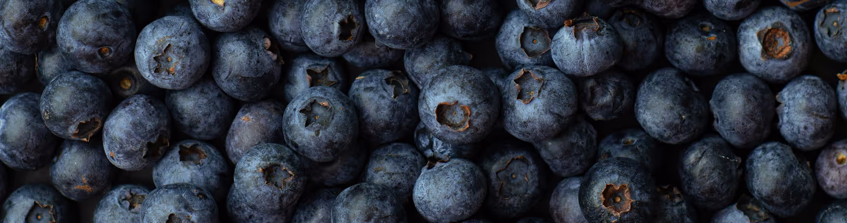 bluberries
